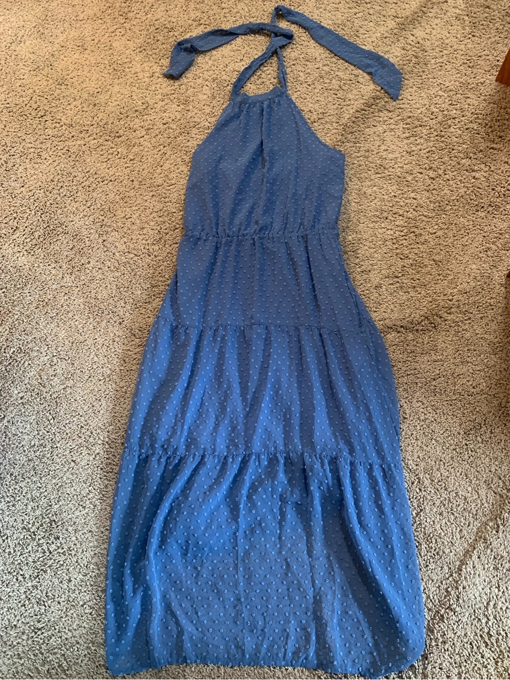 Pretty Garden Halter Maxi Swiss Dot Dress Large